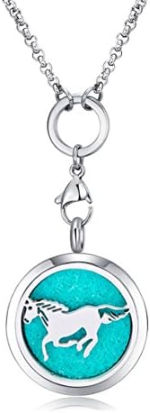 MESINYA Racing Horse Aromatherapy/Essential Oils surgical S.Steel Diffuser Locket pendant Necklace