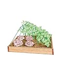 Medium Cucumber Trellis