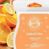 Scentsy Bar (Sunkissed Citrus)