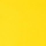 AK Associates, LLC AKAS Tex PUL (Polyurethane Laminate) 1Mil Citron Yellow Fabric By The Yard