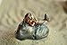 Top Collection Enchanted Story Fairy Garden Little Mermaid on Rock Outdoor Statue