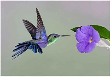 Yeefant Purple Bird Flower Embroidery Paintings No Fading 5D Canvas Rhinestone Pasted DIY Diamond Cross Stitch Home Wall Decor for Bedroom Living Room,12x16 Inch
