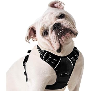 Eagloo Dog Harness No Pull, Walking Pet Harness with 2 Metal Rings and Handle Adjustable Reflective Breathable Oxford Soft Vest Easy Control Front Clip Harness Outdoor for Large Dogs Black