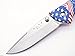 Buck 285 Bantam USA US American Flag Medium Folding Hunter Lockback Pocket Knife