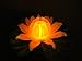 Fortune Products GL-301-ABW Glow Lily Light, 5-1/2
