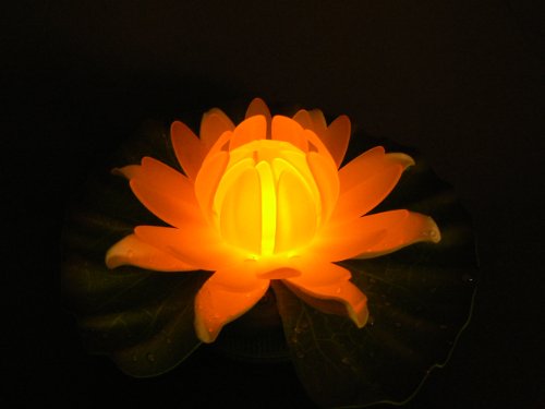 Fortune Products GL-301-ABW Glow Lily Light, 5-1/2" Width x 1-3/4" Height