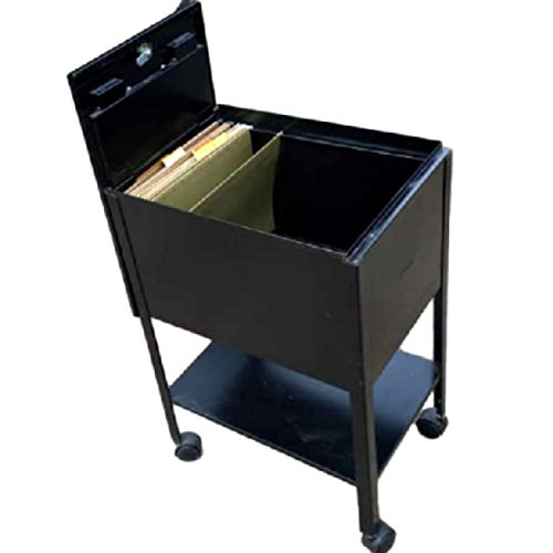Rolling File Cabinet Heavy Duty XL Cart 2 Drawers Wheels Letter Size Hanging Folder Storage Mobile Organizer Lockable Sliding & eBook