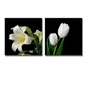 Easter Lily with a Large Blossom and White Tulip on Black Background - Canvas Art Wall Art - 12"x12" x 2 Panels