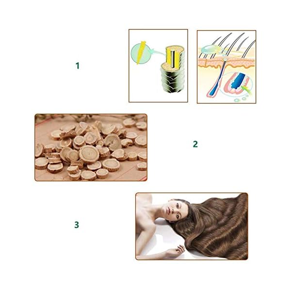 Ginger Germinal Oil, Hair Growth Oil, Hair Growth Serum, Ginger Germinal Essential Oil, Hair Loss Treatment Hair Care…