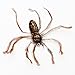 Frenzy Spidie House Spider Attachment/Refill- Also Works with attachments Made for Popular Bird and Mouse Type Wands/Poles