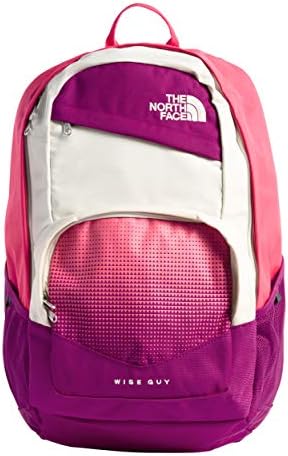 the north face wise guy backpack