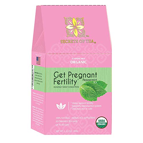 Amazon Com Secrets Of Tea Fertility Tea Peppermint With Chasteberry Vitex Red Raspberry Leaf Tea Mint Tea Ladies Mantle Tea 100 Organic Up To 40 Servings 20 Count 1 Pack Grocery Gourmet Food