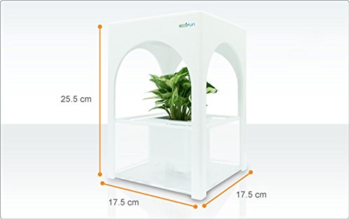 al arfan aquaponics launches oman's largest aquaponic