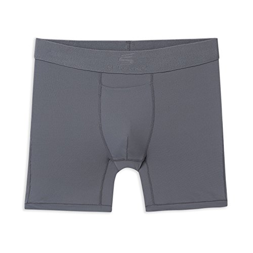Terramar Men's 6" SilkSkins AIRCOOL Boxer Briefs with Fly (Pack of 1), Grey, M