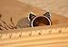 Caetle(TM) Classic Color Ring Strongly Individualizes Cat Ear Finger Ring