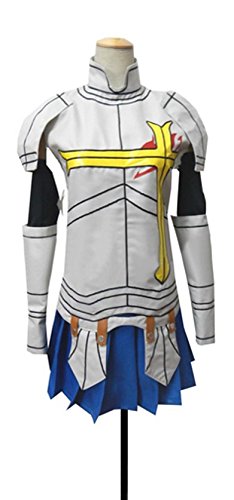 Dreamcosplay Anime Fairy Tail Erza Scarlet Battle Suit Cosplay Costume