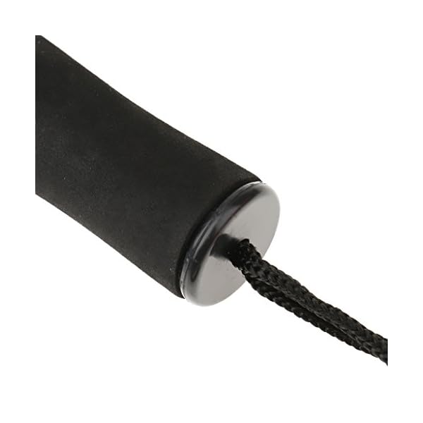 MagiDeal-Outdoor-Sports-Telescopic-Hand-Gaff-with-Stainless-Steel-Hook-for-Fishing