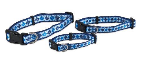 Aspen Pet 11460 Collar for Pets, 3/4 by 14 to 20-Inch, Harlequin Blue