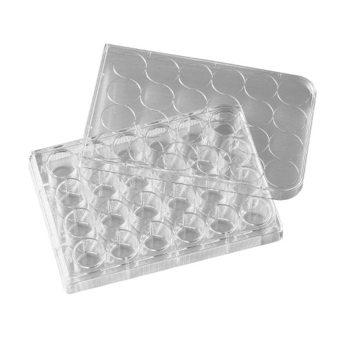 Corning 3473 Polystyrene Sterile Clear Flat Bottom Ultra-Low Attachment Multiple Well Plate with 24 Wells and Lid, 3.4mL Well Volume, Individually Wrapped (Case of 24)