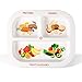 Health Beet MyPlate Portion Control Plate – 3 Divided Sections for Proteins, Grains & Fruit+Veggies - Dishwasher & Microwave Safe Sectioned Plates for Health Education (1 Pack)