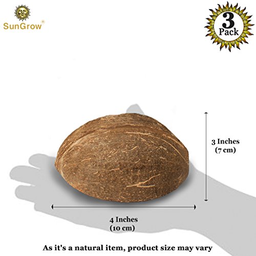 6 SunGrow+Hermit+Crab+Food+Bowls