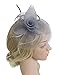 Urban CoCo Women's Vintage Flower Feather Mesh Net Fascinator Hair Clip Hat Party Wedding (Gray)