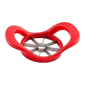 Ganesh Plastic & Stainless Steel Apple cutter (Red) – colors may vary