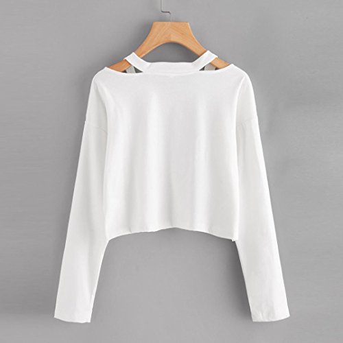 Orangeskycn Womens Sweatshirts Long Sleeve Sweater Rose Printed Causal Tops Blouse (White, M)