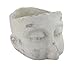 Weathered Finish Sculptural Cement Head Planter