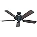 Hunter Indoor / Outdoor Ceiling Fan, with pull chain control - Sea Air 52 inch, Black, 53060