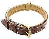 Leather Padded Dog Collar - Made of Genuine Kingston Luxury Leather