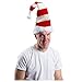 Funny Party Hats Christmas Candy Holiday Theme Santa Hats (Red and White)