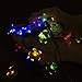 NeutralPure ECO Peach Flower Solar Powered String Lights (50 LED); Christmas Party, Outdoor, Patio and Garden Friendly