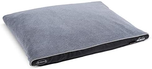 arctic fox puppies for sale