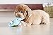 Durable Dog Squeaker Toys for Aggressive Chewers Boredom Small Dogs (Blue Hippo)