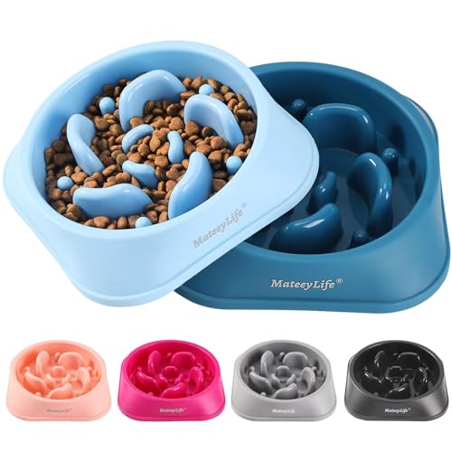 MateeyLife 2-Pack Slow Feeder Bowls