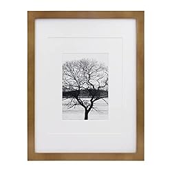 Egofine 11x14 Picture Frame Display Pictures