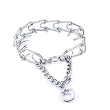 Thirsty Pet Water Bottle