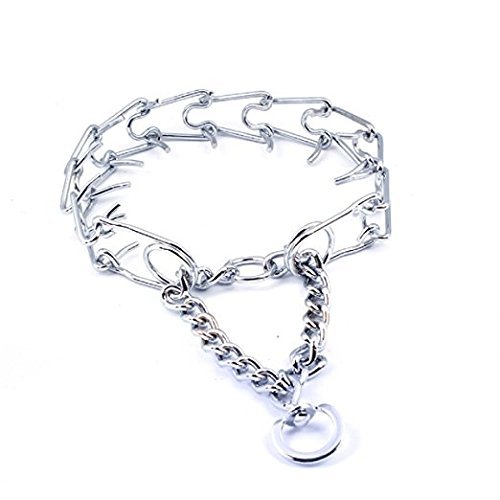 Thirsty Pet Water Bottle