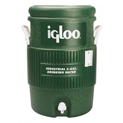 igloo mint green cooler