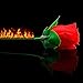 Yeahgoshopping The Torch to Rose Magic Trick – A Mesmerizing Illusion of Transformation - One Rose to Fire