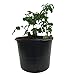 Viagrow VHPP700-10 7 gal Trade (6.08 gal / 23.02 liters) 10 Pack Nursery POTS, Black