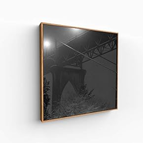 Canvas Wall Art for Living Room, Bedroom Silence Framed Canvas Prints for Home Decoration Ready to Hang - 16x16 inches