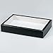 Insect Display Case, 8 x 12"