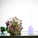 Aromatherapy Essential Oil Diffuser, Soft Digits 120ml Ultrasonic Cool Mist Humidifier / Aroma Diffuser with Adjustable Mist Mode, 7 LED Colors and Waterless Auto Shut-Off for Bedroom, Nursery or Desk