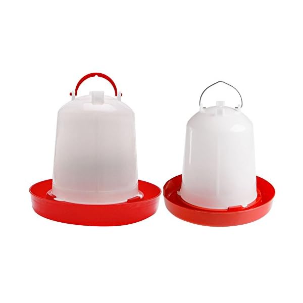 ypypiaol, mangiatoia per pollame, Anatre, Uccelli, pollame, Galline, quaglie, Bantam, Cibo, Acqua, Fattoria, Animali