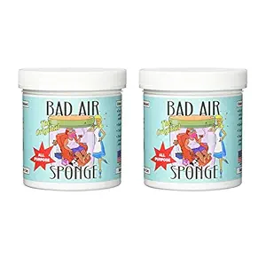 Bad Air Sponge Odor Absorbing Neutralant