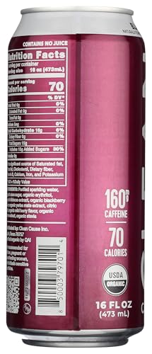 CLEAN CAUSE, YERBA MATE BLACKBERRY ORGANIC, 16 FL OZ