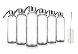 Glass Water Bottle - 6 Pack Screw-on Cap Round Leak Proof Bottle with Carry Loop for Travel, Outdoor Sports, Camping, Hiking, Bristle Brush Included, 18 oz