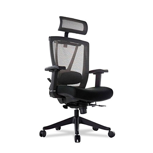 Autonomous Premium Ergonomic Office Chair for Computer or Gaming, with